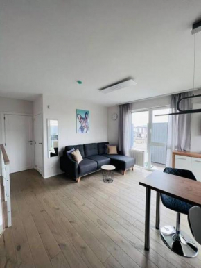 V&V Apartments
